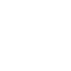 Call 1-413-536-1050